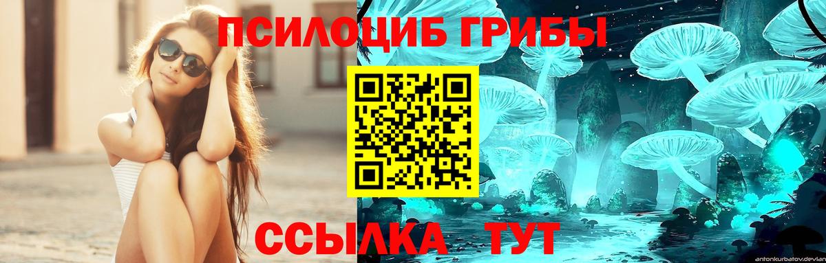 Псилоцибиновые грибы мицелий  Вход с VPN  Элиста 