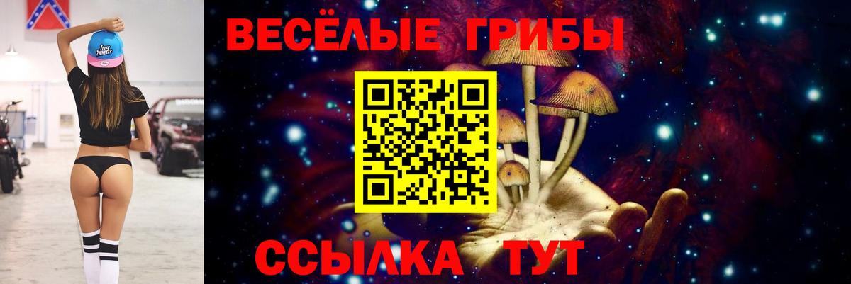 Псилоцибиновые грибы прущие грибы Элиста