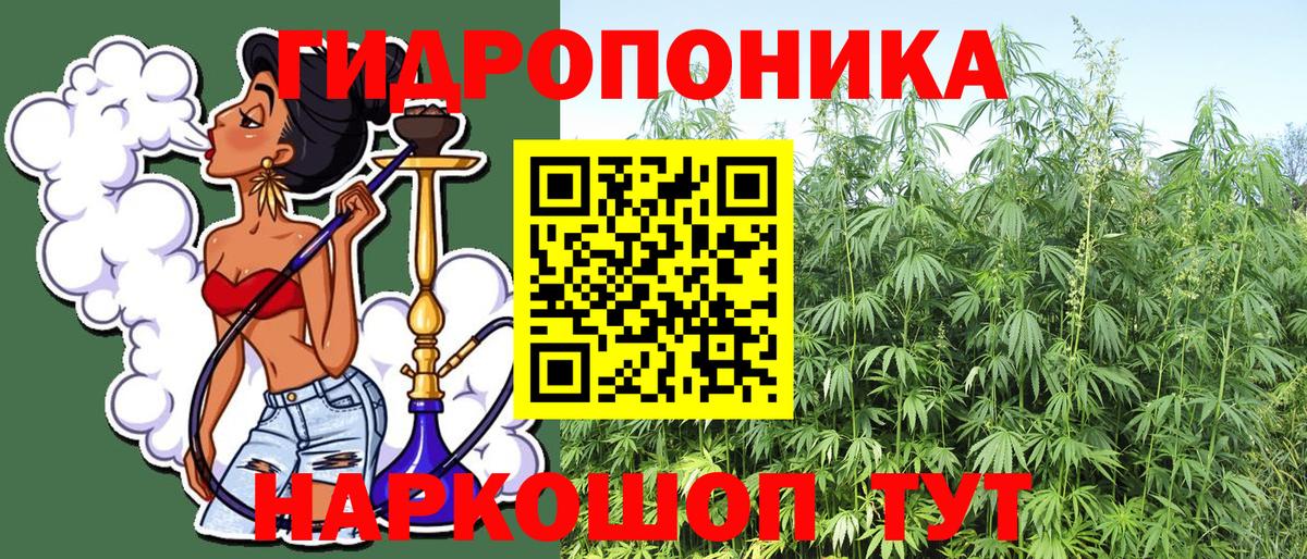 Бошки марихуана планчик Элиста